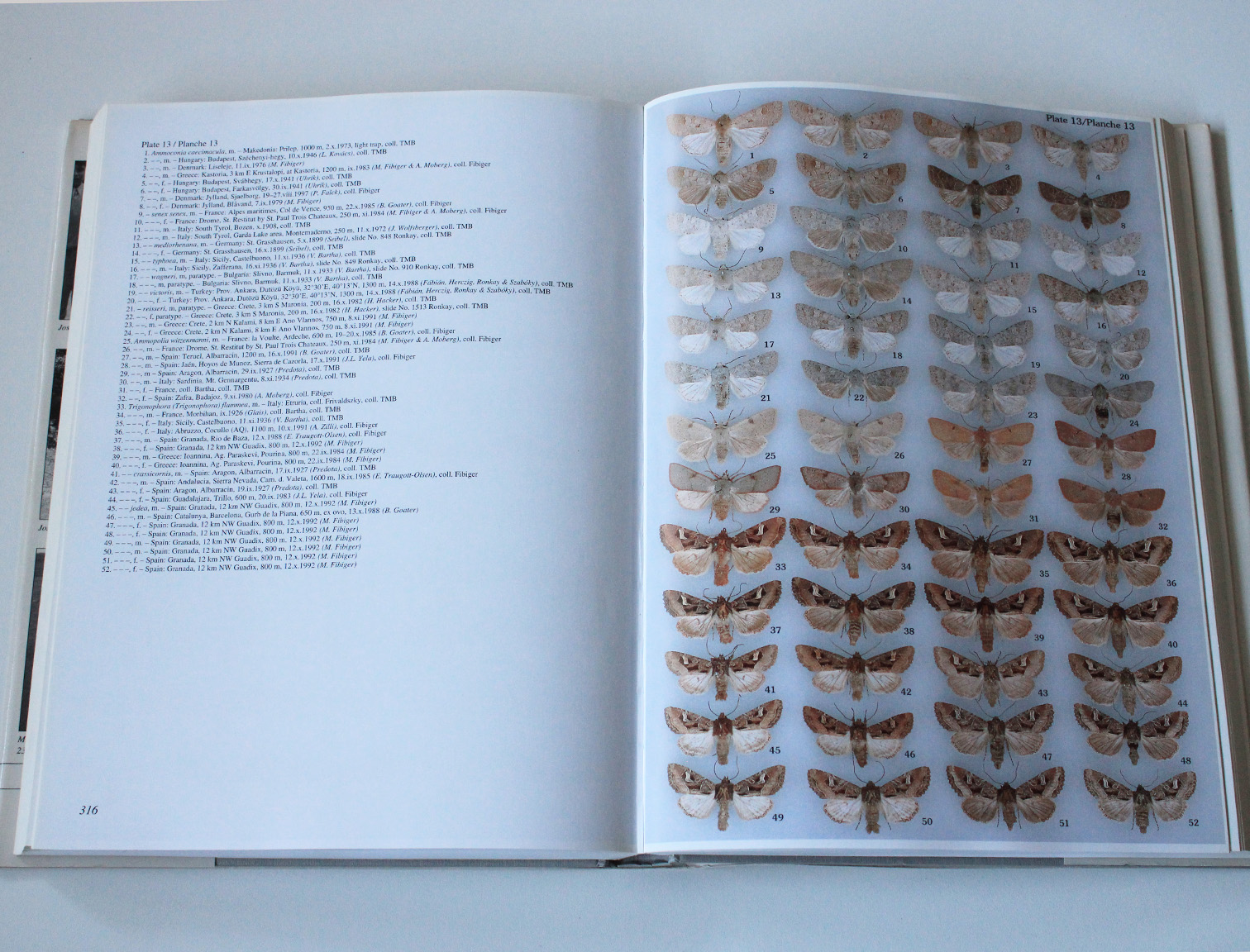 noctuidae europaeae vol.5.1